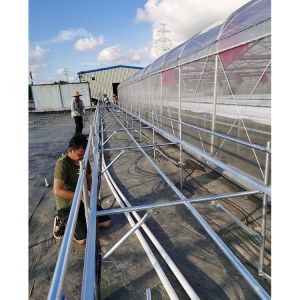 UV Proof Greenhouse Hydroponics System Vegetables Growing Deep Water Culture