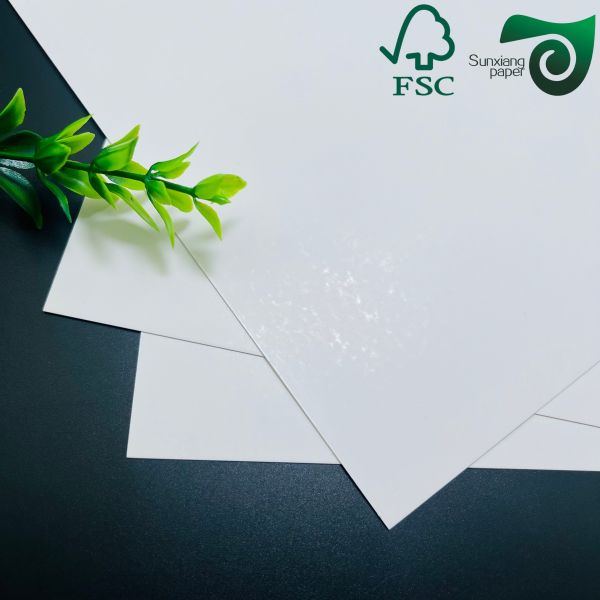 FSC Certified 180gsm Ivory Board White Cardboard In Standard For Solutions And Requirements