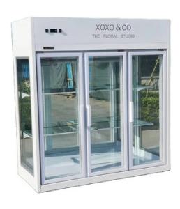 China Folding Door Refrigerated Floral Display Cases Air Cooling CE wholesale