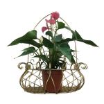 Green Flower Stand Hanging Wall Indoor Balcony Hanging Semi-Circular Flower