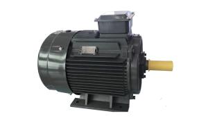China Cast Iron Asynchronous Inverter Motors Three Phase Inverter Duty wholesale