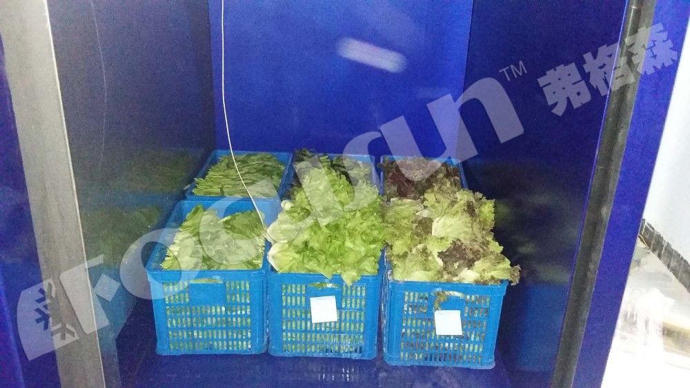 Air Cooled Condenser Vacuum Cooler for Pre Cooling Vegetables Fruits Cooked Food