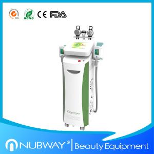 China Salon use professional fat freezing cryolipolysis slimming machine long working hours wholesale