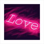 Bar Wedding Neon Acrylic Letters AC110V Custom LED Neon Signs