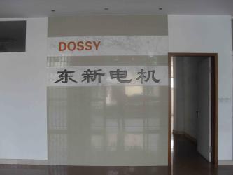 Yueqing Dongxin Motor Co.,LTD