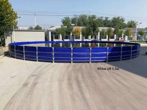 China cheap Wholesale Pvc Fish Tank wholesale