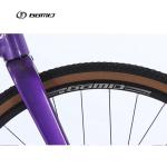 GOMID Custom Road Touring Bicycle Gravel Bike Roadbike with SHIMANO CS-HG500-10