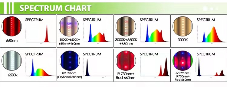 45w Strawberry Lettuce Veg LED Grow Light For Indoor Tissue Culture