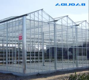 China Large Size Venlo Glass Greenhouse High Strong Structure ISO9001 wholesale
