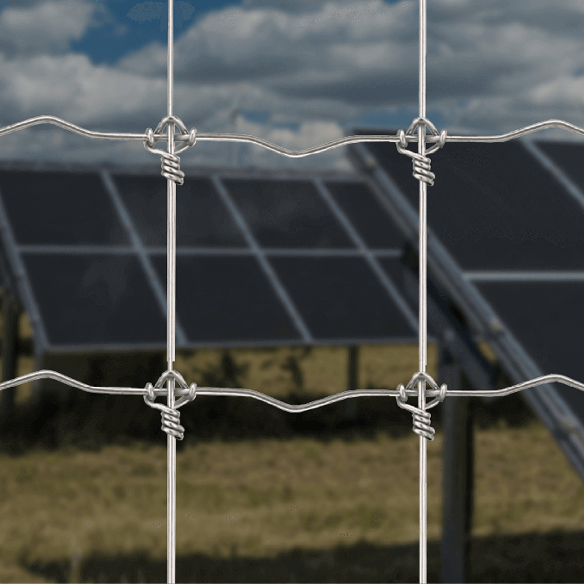 Hot Dip Galvanized Deer Fixed Knot Fence 4ft 5ft 6ft 7ft 8ft