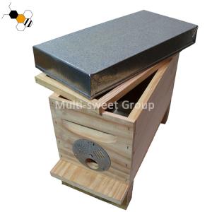 China Bee Hive Equipment Queen Rearing Nuc Box Langstroth Beehive wholesale