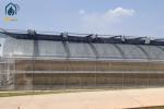 Big Agricultural Modern Garden Greenhouse Plastic Film Multi Span Nursary