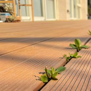 China Residential WPC Decking Panel Wood PVC Composite Decking Panel CE wholesale