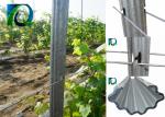 Agricultural Outdoor Tomato Trellis System , Steel Garden Post 1.8MM X 2.5M
