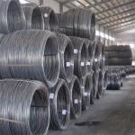 China Supplying 0.35mm 0.5mm 201 202 410 430 304 316 1.5mm Stainless Wire Rod