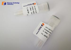 China Customized NSE Mouse Monoclonal Antibodies at -20 °C Storage Temperature wholesale