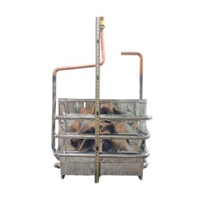 China Gas Water Heater Copper Heat Exchanger 10L 12L Capacity Optional wholesale