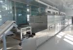 Multifunctional Herb Microwave Drying Machine Three PHASE 380V 50HZ