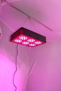 China Promotion!DHL Free shipping 200w Apollo 6 LED Grow light/indoor plant grow lamp wholesale