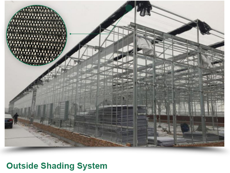 LITAI Greenhouse end Hot-dip Galvanized Steel Planting Greenhouse with Glass Material