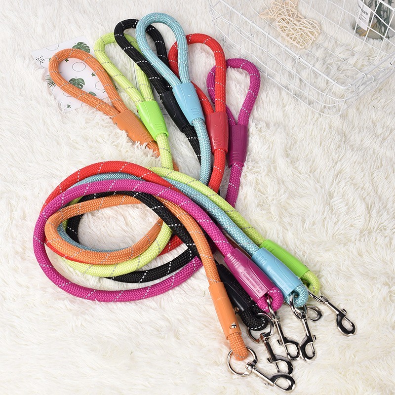 best dog leash for large dogs