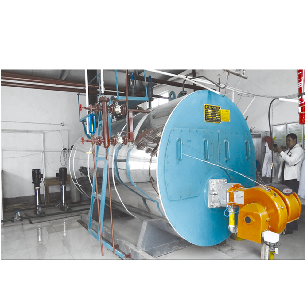 Customized Steam Boiler For Duck Slaughtering Machine Scalding Machine For Heating