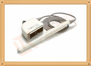 China Lightweight Siemens Medical Ultrasound Transducer For Gynecology wholesale