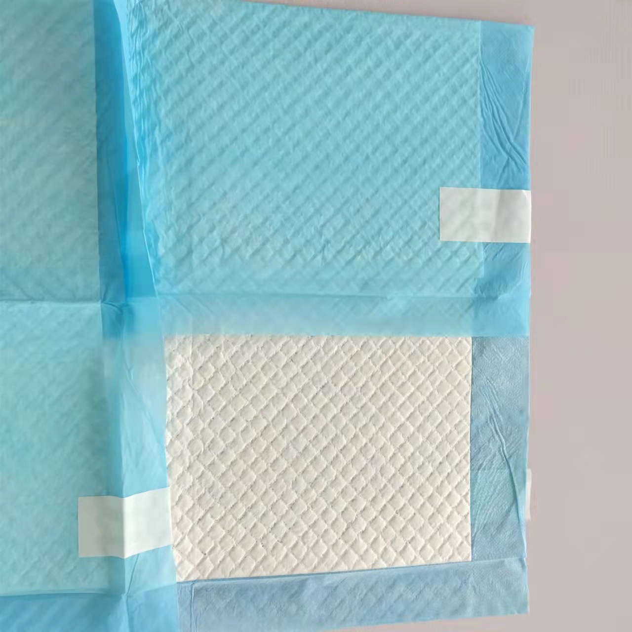 Freely Samples Offered Biodegradable Dog Puppy Extra Large Pet Cat Dog Training Puppy Pads
