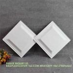 Eco-Friendly Wholesale Bio Disposable Sugarcane Food Container Snack Cookie