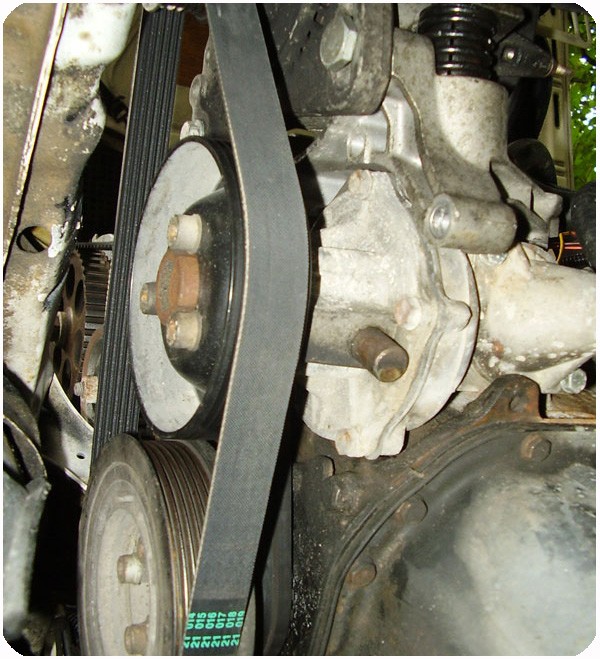 ISO/TS16949 Certified V-Belt for Diesel Engine Fan Belt in Food Beverage