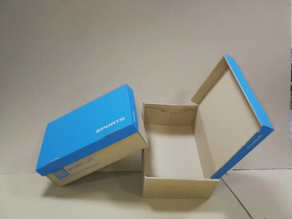 Custom Printed Shoe Box Paper Packaging Recyclable 4c Offset Printing