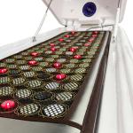 ODM Pemf Steam Heating Capsule Sauna Spa Photon Light Therapy