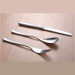 NC555 stainless steel knife/flatware set/serving set/cutlery/silverware