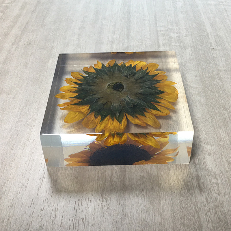 Cubic acrylic resin paper weight with insect and flowers inside acrylic paperweight