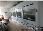 Alkali Resistant Fume Hood Cupboard , Floor Mounted Fume Chamber Laboratory