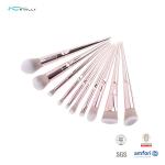 Plastic Handle Cosmetic 10pcs Face Makeup Brush Set Private Label