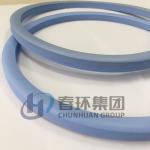 21Mpa Ptfe Flat Gasket