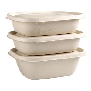 China Disposable Party Dinnerware Take Away Salad Box 850ml 1100ml 1300ml Sugarcane Bagasse Pulp Box Packaging wholesale