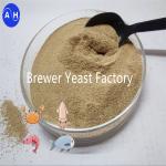 High Activity Dry Yeast For Improved Digestive Health With Saccharomyces
