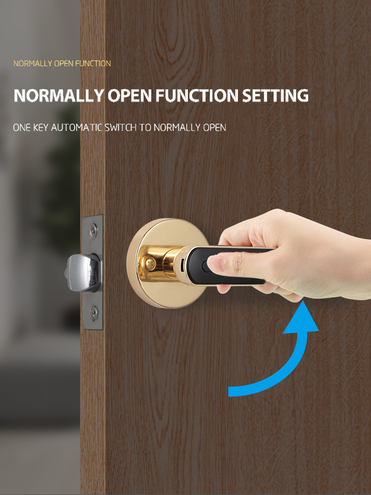 Bluetooth / Tuya APP Smart Door Knob Fingerprint Zinc Alloy Material