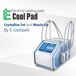 China Cryolipolysis EMS Machine CRYO Beauty Salon Euqipment for Weilght Loss With 4 Handles wholesale