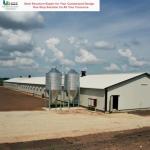 Material Quality Assurance Steel Structure Poultry House Fire Resistant