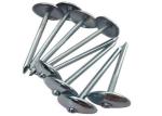 BWG8 2-1/2" Galvanised umbrella Roofing Nails