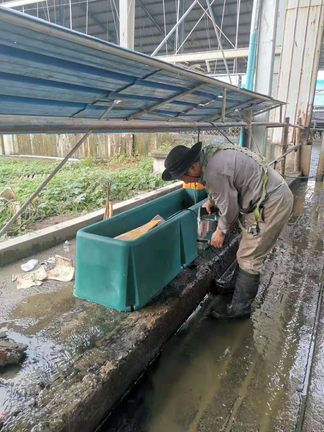 LLDPE Automatic Cow Drinker Water Bowl 4m Frost Proof