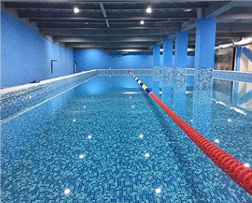 Uv Tunnel Ultraviolet Sterilizing Lamp Water Treatment For Food Beverage Plant