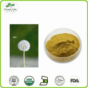China High Quality pure natural Dandelion root powder wholesale