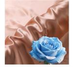 Imitation Silk 95%Polyester 5% Spandex Satin Polyyester 120gsm Activewear