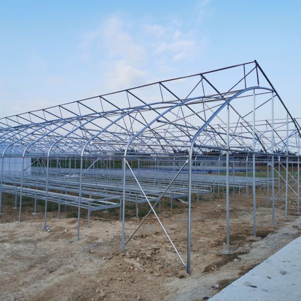 Strong Frame Greenhouse with Hot Dipped Galvanized Steel Structure and Film Cover