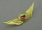 Soft Enamel Youth Flying Club Souvenir Badges With Gold Plating