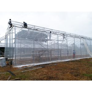 China 200micron PE Film Ventilation System Greenhouse High Security Weather Proof wholesale